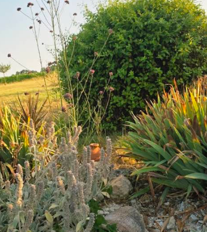Planten